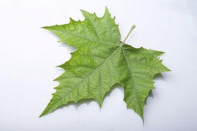 《风火轮2：爆发》正式公布 10月19日登陆全平台